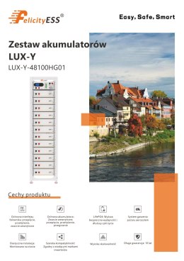Felicity Moduł kontroler FLH 48100UCG1 dla baterii FLH48100UMG1